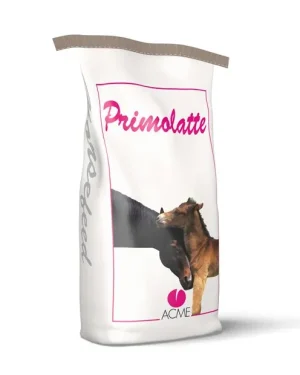 Primo Latte