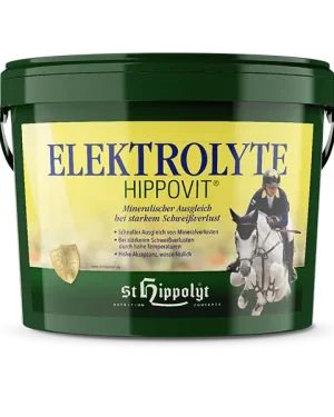 Elektrolyte – elettroliti