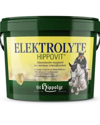 Elektrolyte – elettroliti