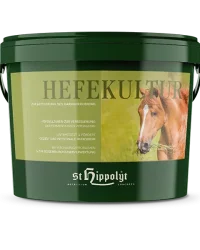 Hefekultur (flora intestinale)