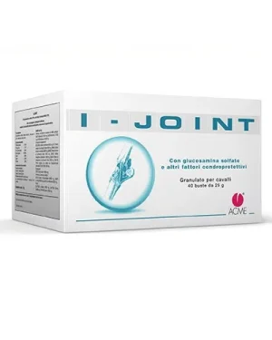 I Joint