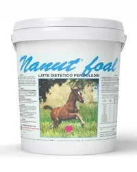 Nanut foal