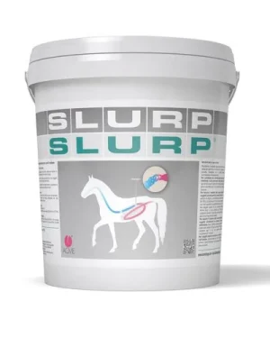 Slurp