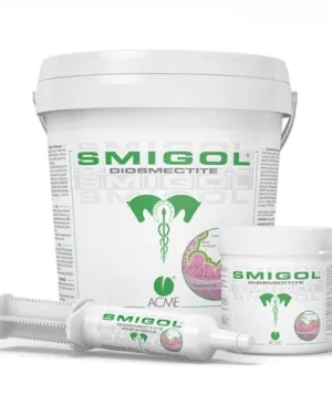 Smigol