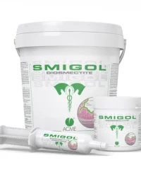 Smigol