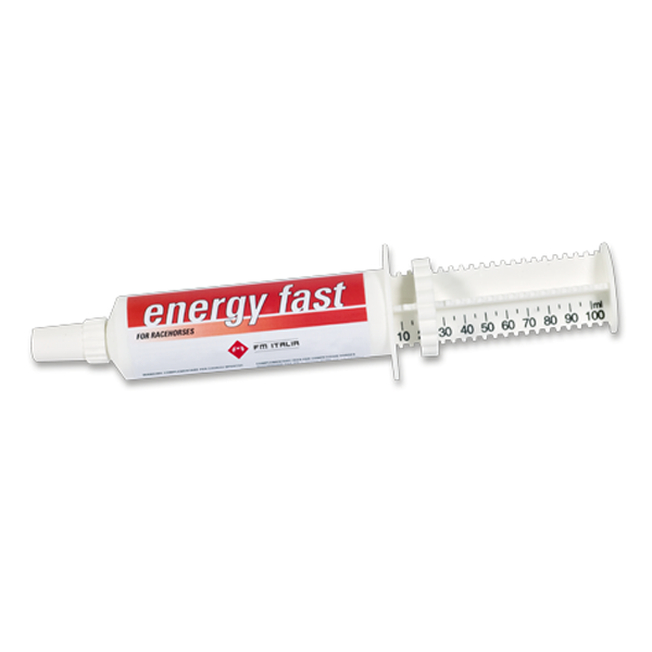 Energy Fast