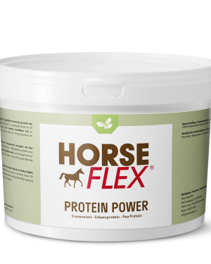 Protein Power